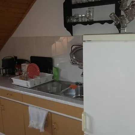 Anna Vendeghaz バラトンアカリ