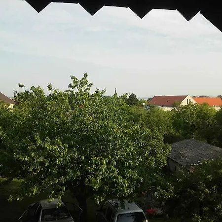 ゲストハウス Anna Vendeghaz バラトンアカリ