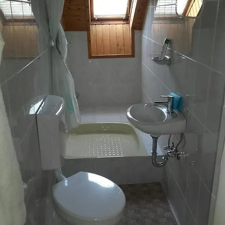 Anna Vendeghaz バラトンアカリ