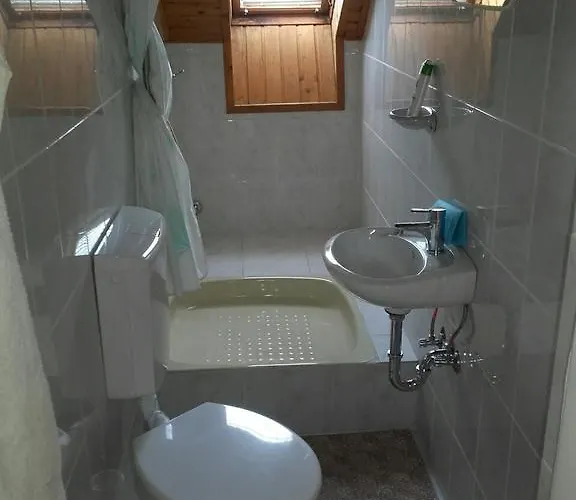 Anna Vendeghaz בלטונאקאלי